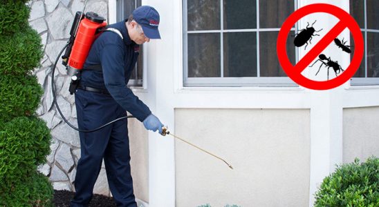 Beypazarı Akrep İlaçlama böcek ilaçlama ve haşere kontrolü — ilaclama-tr.com